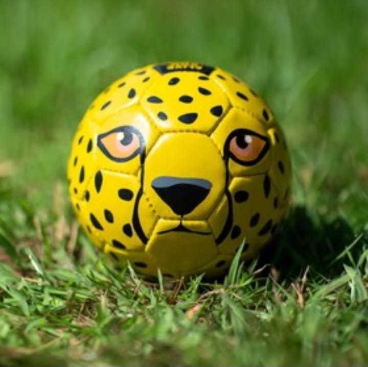 Football Animal Print size 3 